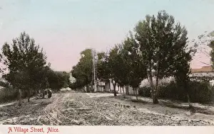 Puddle Prints: Alice, Eastern Cape, Cape Colony, South Africa