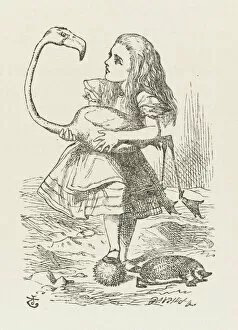 Published Gallery: Alice with the Flamingo