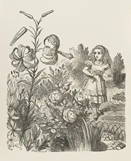 Alice & the Flowers