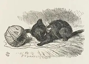 Alice / Kitten & Wool