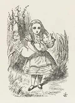 Alice / The Pig-Baby
