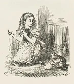 Alice Plays with Kittens