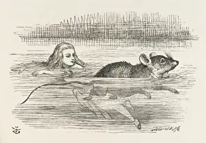 Swims Prints: Alice / The Pool of Tears