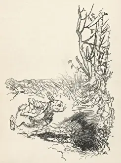 Alice: down Rabbit-Hole