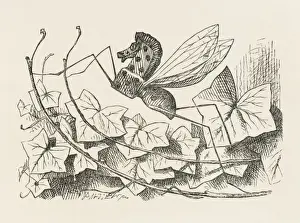 Rocking Prints: Alice / Rocking-Horse Fly