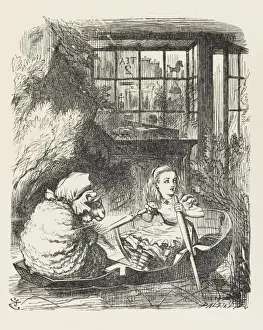 Alice Rows Sheep
