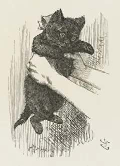 Shakes Prints: Alice Shakes Kitten