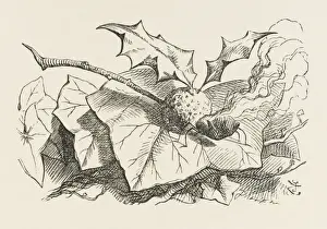 Brandy Prints: Alice / Snap-Dragon-Fly