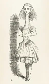 Stretches Prints: Alice Stretches