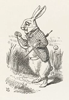 Alice in Wonderland Gallery: Alice / The White Rabbit