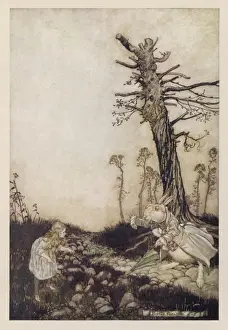 Alice & the White Rabbit