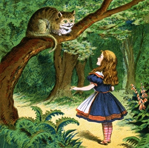 Alice in Wonderland, Alice and Cheshire Cat available as Framed Prints,  Photos, Wall Art and Photo Gifts