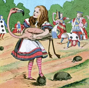 Tenniel Gallery: Alice in Wonderland, Alice at the croquet game