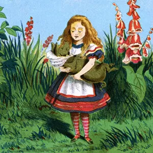 Tenniel Gallery: Alice in Wonderland, baby turns into pig