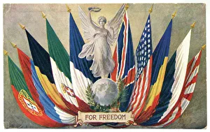 All the flags of the Allies fanned out
