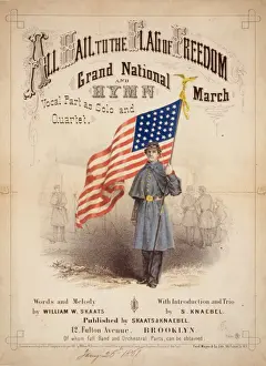 Hail Prints: All hail to the flag of freedom