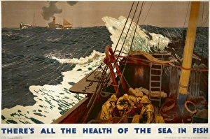 All the health of the sea