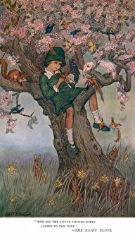 Images Dated 18th July 2011: And all the little singing birds