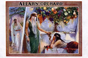 Swindon Gallery: Allahs Orchard - performance at the Empire Theatre, Swindon