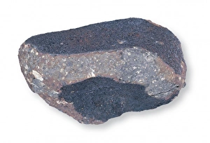 The Allende carbonaceous chondrite The Allende carbonaceous chondrite