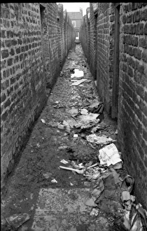 Images Dated 11th September 2015: Back alley between slums, Belfast, Northern Ireland