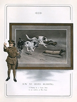 Allied Dogs Ww1