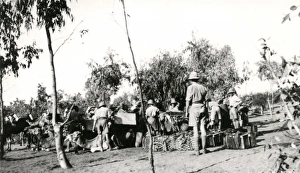 Allied troops with camels, Mesopotamia, WW1 Allied troops with camels, Mesopotamia, WW1