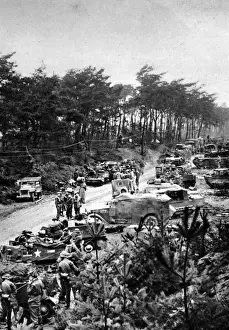 Allied Troops in the Reichswald Forest; Second World War, 19