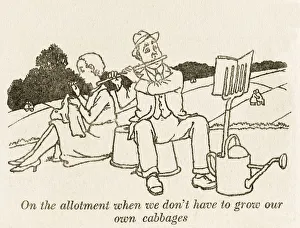 Allotment Collection: Empty allotments / W H Robinson