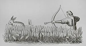Fourteenth Prints: How to allure the hare. Facsimile of an engraving