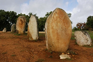 Images Dated 18th October 2006: Almendres Cromlech. Megalithic complex. Neolithic. Near Evor