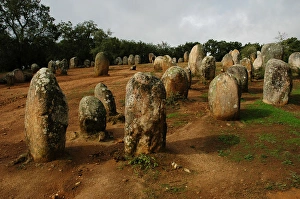 Images Dated 18th October 2006: Almendres Cromlech. Megalithic complex. Neolithic. Near Evor