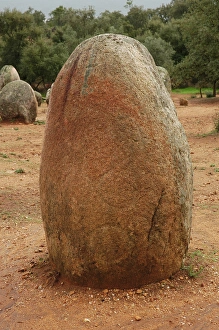Images Dated 18th October 2006: Almendres Cromlech. Megalithic complex. Neolithic. Near Evor