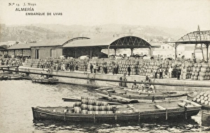 Almeria Gallery: Almeria, Spain - Embarkation of Eggs in barrels