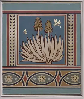 Aloe Prints: Aloe sp. aloes