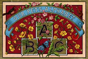 Alphabet Blocks