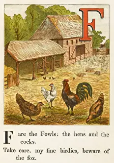 Alphabets Prints: Alphabet / F for Fowl