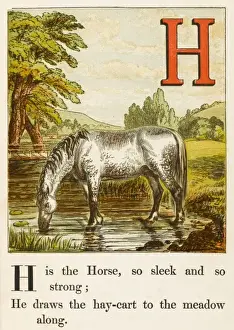 Alphabet / H for Horse