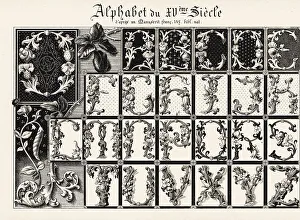 Bibl Prints: Alphabet of illuminated initial letters with foliage, 15th centu