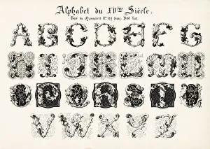 Bibl Prints: Alphabet of initial letters in foliage from a French manuscript
