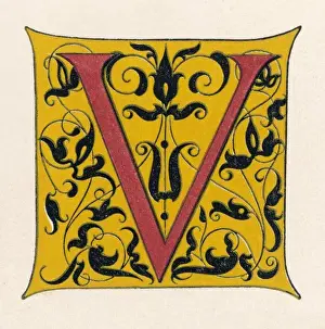 Alphabet Letters / Shaw / V