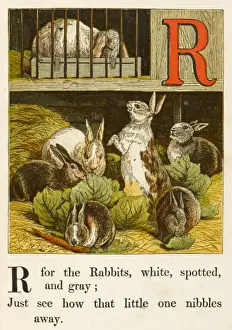 Alphabets Prints: Alphabet / R for Rabbits