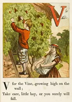 Alphabets Prints: Alphabet / V for Vine