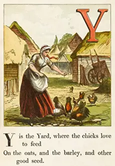 Alphabet / Y for Yard