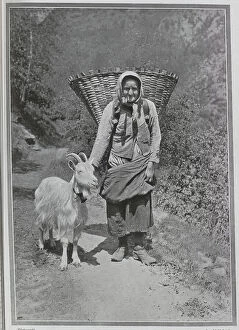 Goat Collection: Alpine woman with headscarf, pipe, large basket and goat, outdoor scenic photograph