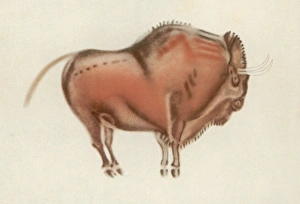 Altamira Gallery: Altamira Bison Painting