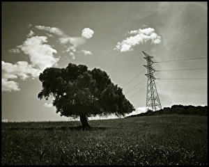 Images Dated 30th August 2016: Alternative tree and pylon landscape, Spain