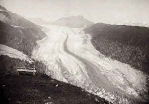 Glacier Gallery: Altesch Glacier, Alps moutains, Switzerland