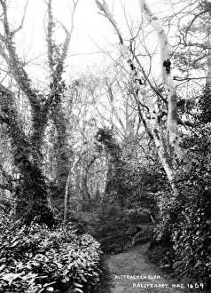 Ballycarry Prints: Altfracken Glen, Ballycarry