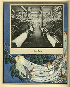 Amalgamated Cotton Mills Trust Ltd, 1920